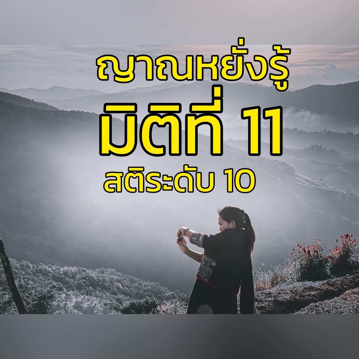 มิติที่ 11