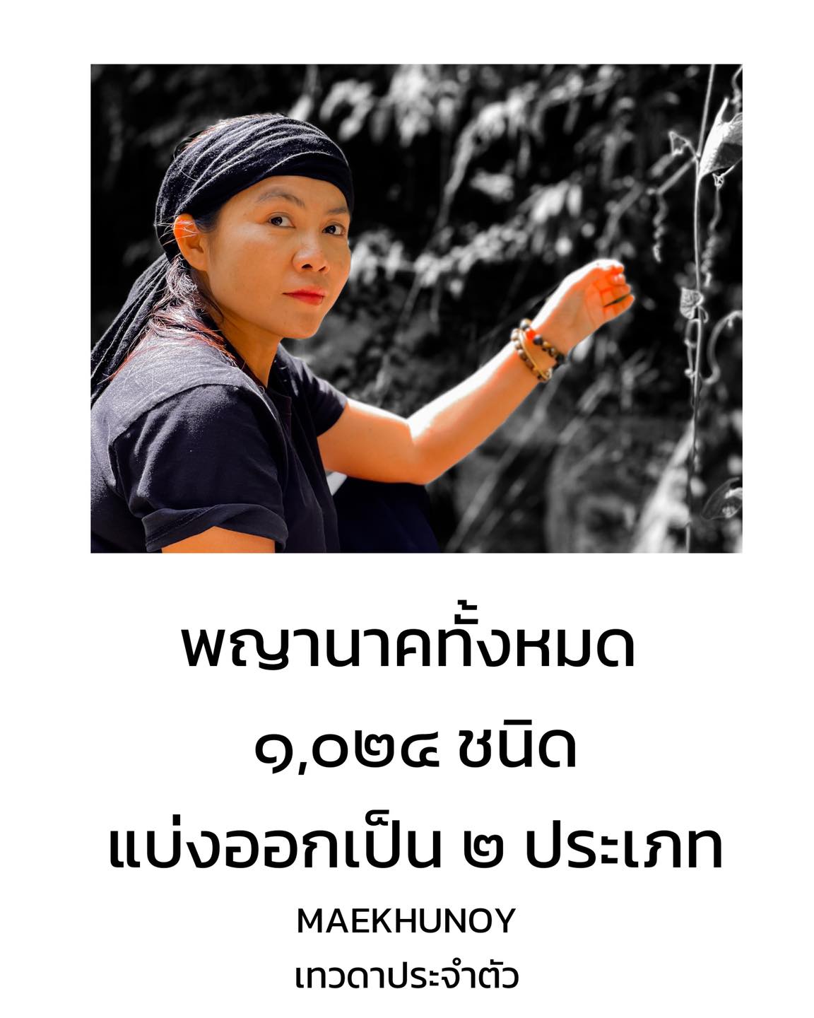 พญานาคทั้งหมด ๑,๐๒๔ ชนิด