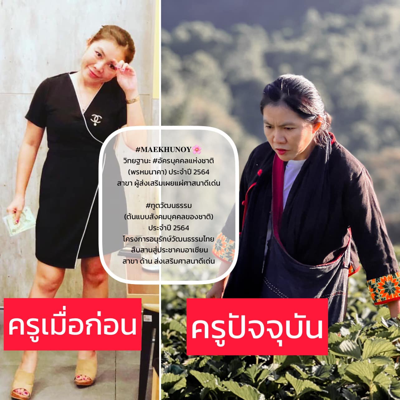 เมตตาต่อทุกสิ่ง