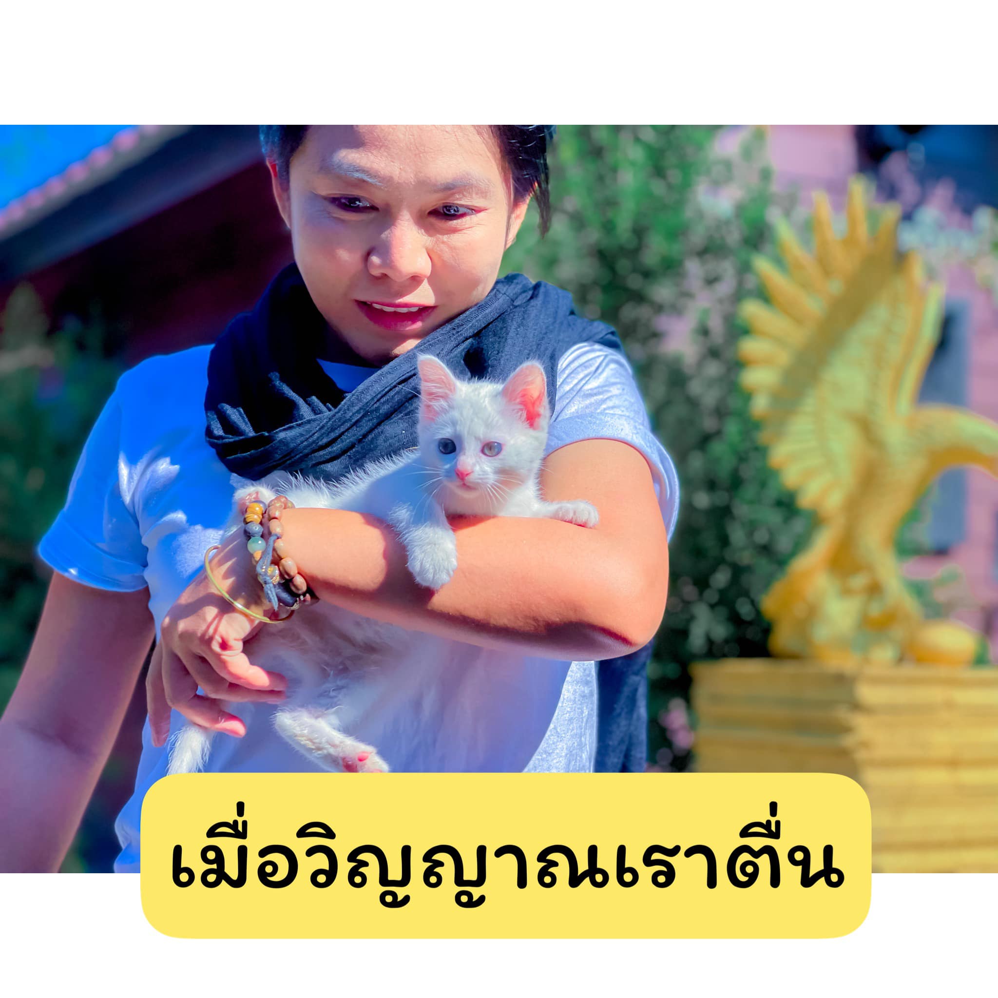 ราคาแห่งการตื่น