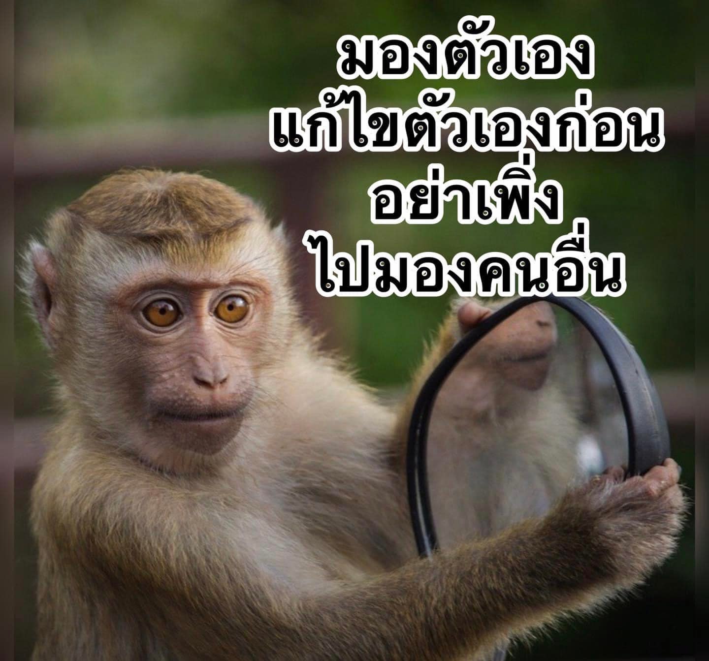 น้ำตาเป็นของมีค่าควรให้ไหลออกมา ด้วยความปิติไม่ใช่ความโศกเศร้า