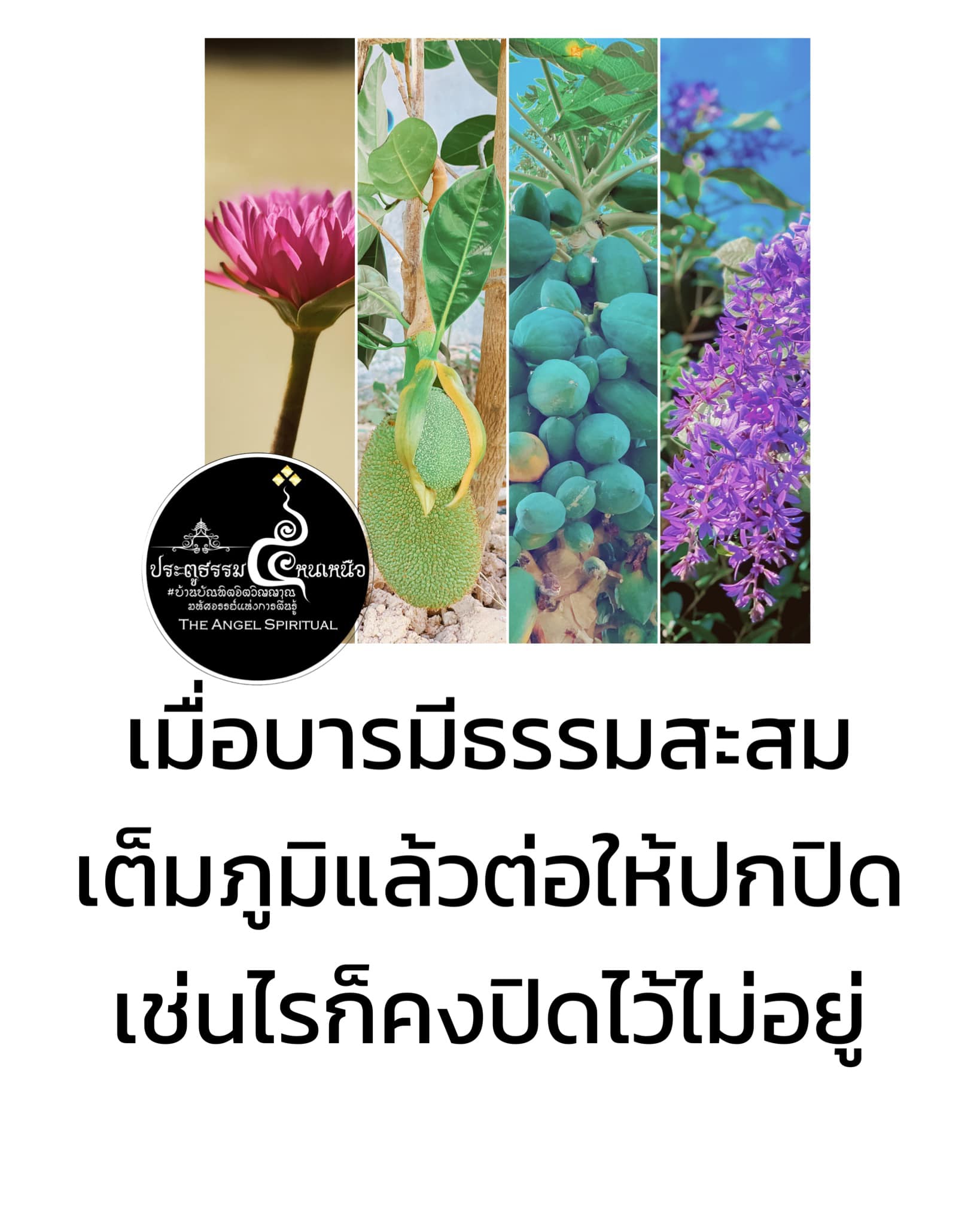 ธรรมชาติของบรมวิญญาณ