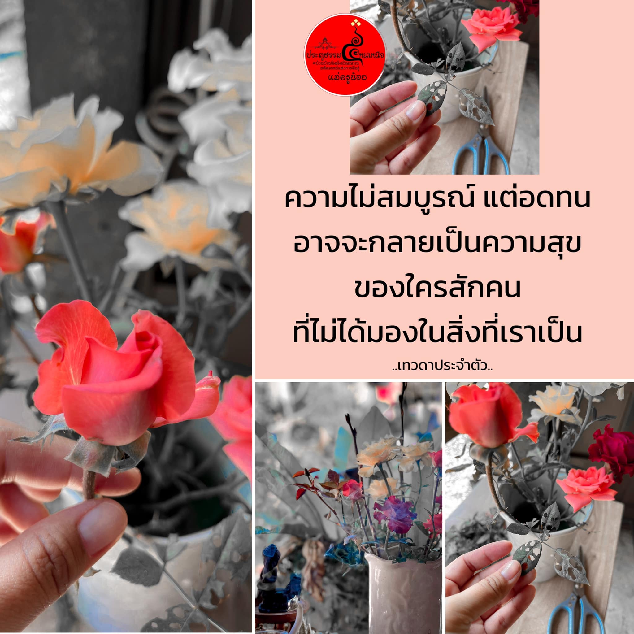 ไม่ว่าคุณจะปฏิบัติธรรมใด ๆ