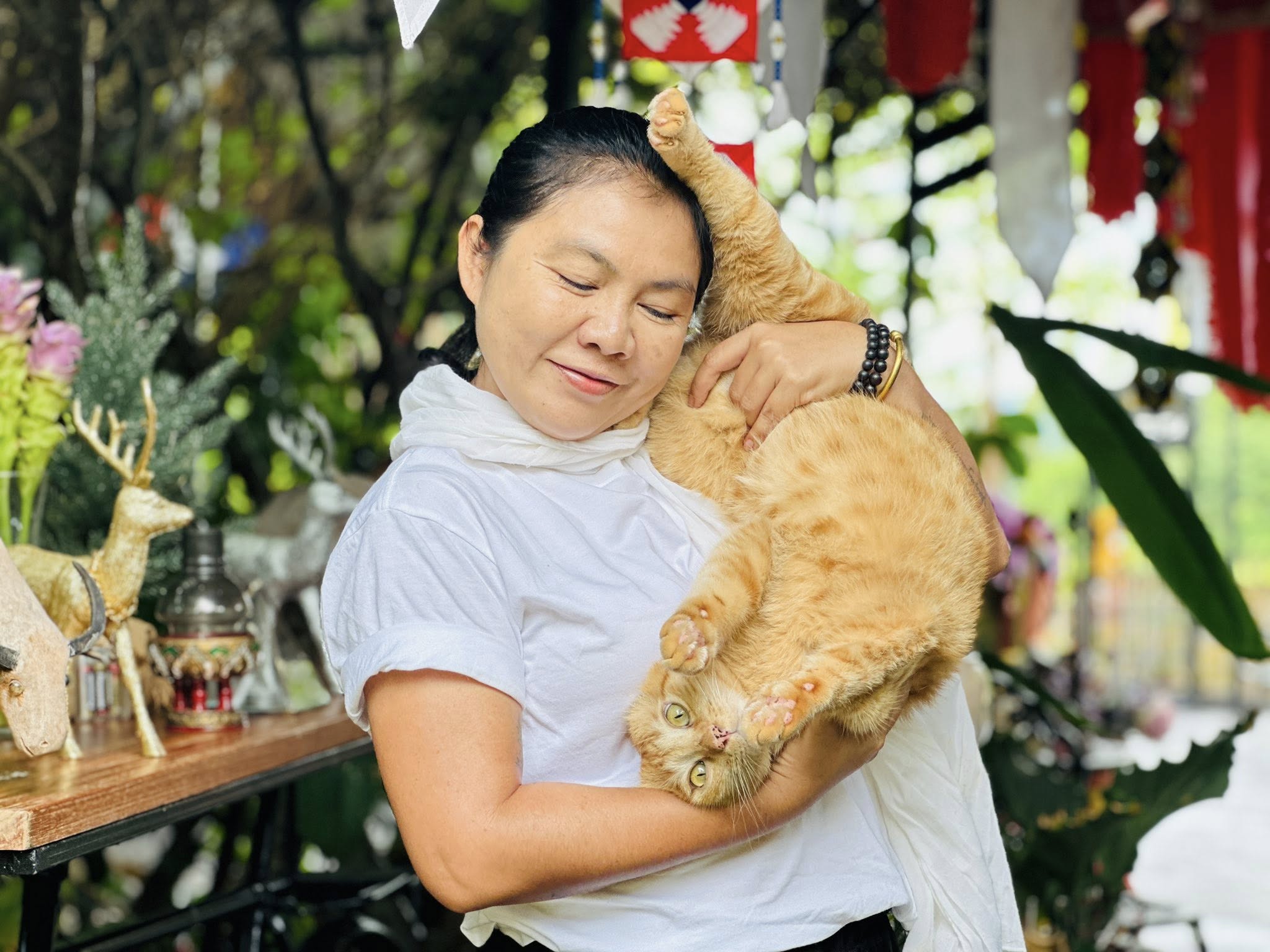 จิตที่สอนไม่ได้